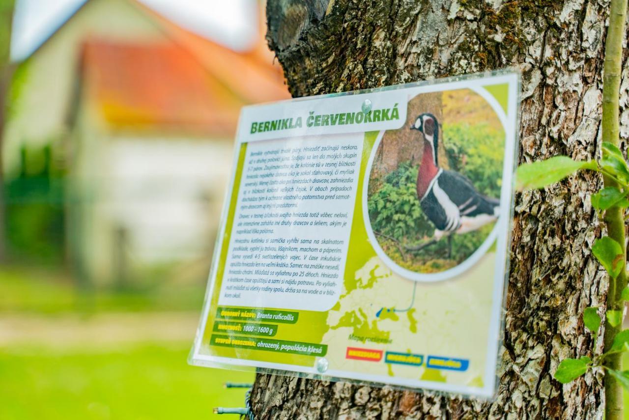 Willa Farma Zelena Ruza Klacno Zewnętrze zdjęcie